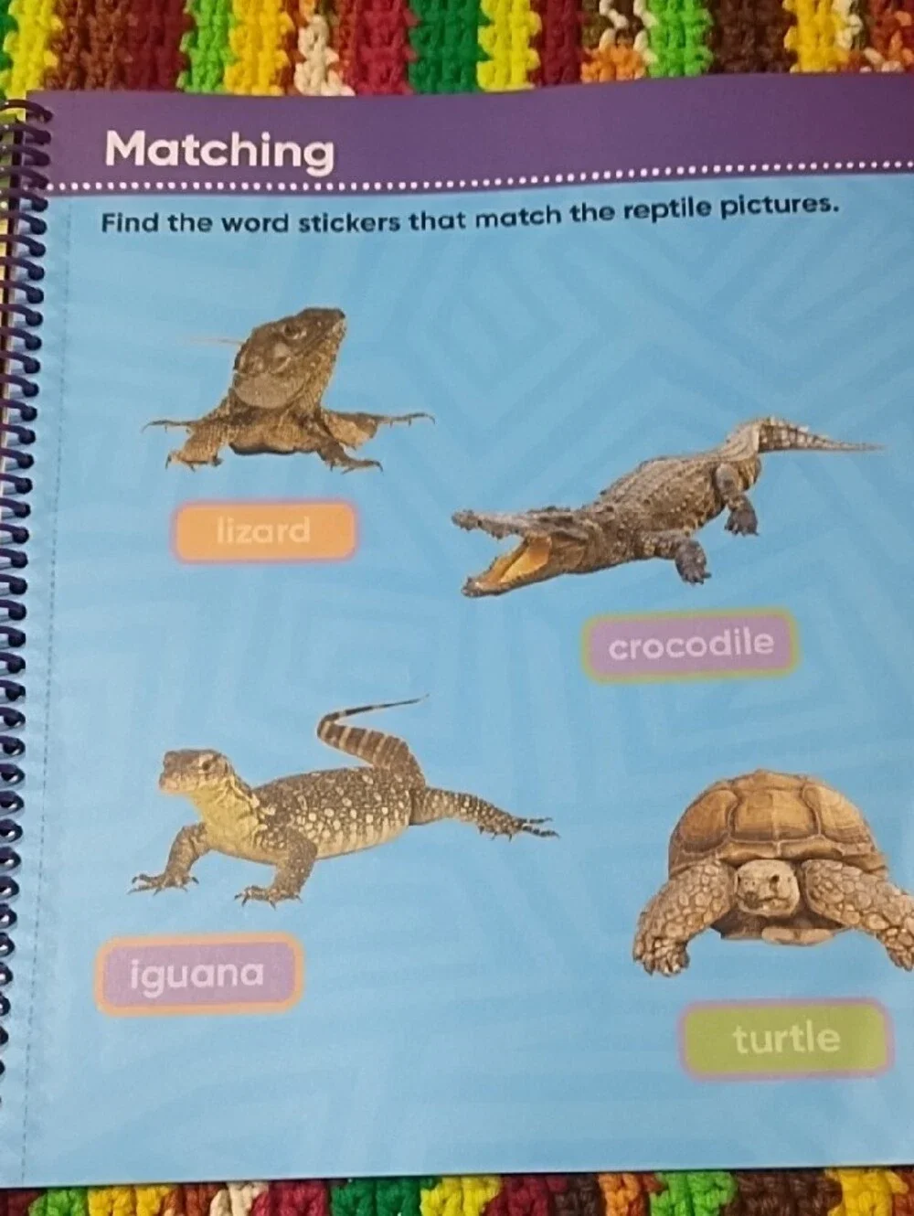Safari Animals Sticker-by-Number Activity Book - Orange New. Age 3 And Up.